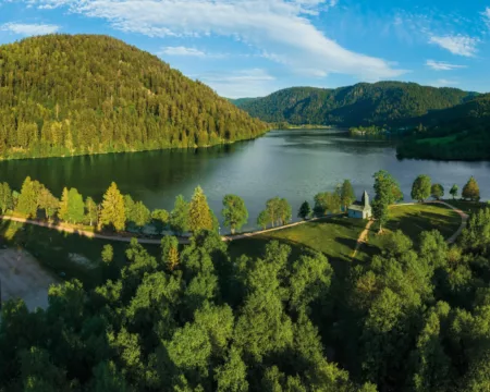 100% Vosges