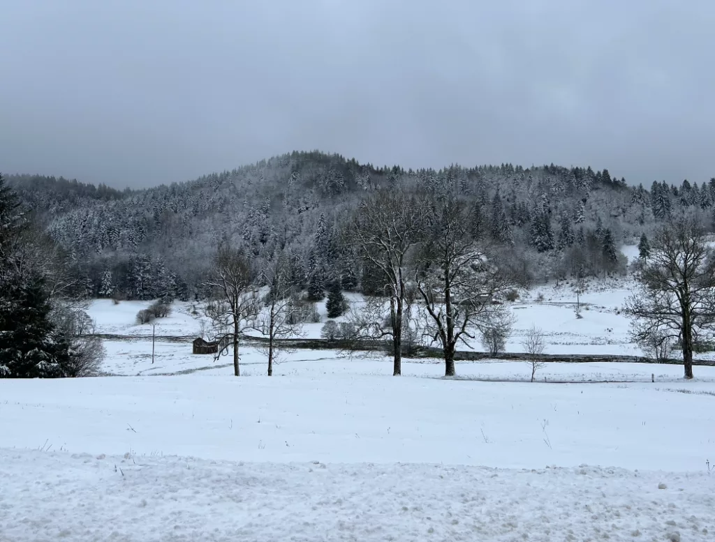 Neige et verglas : le département des Vosges placé en vigilance orange, jusqu'à mercredi à 10 h