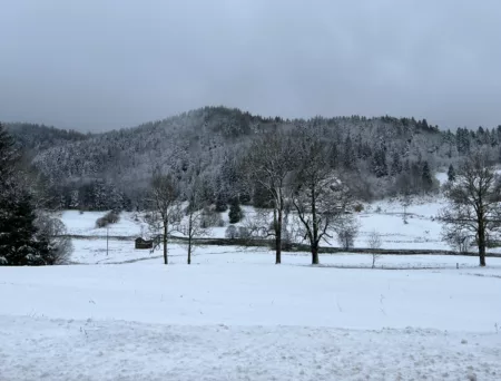 Neige et verglas : le département des Vosges placé en vigilance orange, jusqu'à mercredi à 10 h