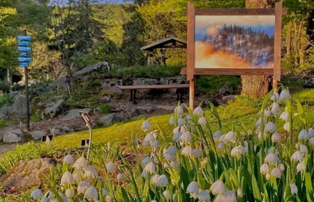 Expo : les photographies de Vincent Ganaye émerveillent le Jardin d'altitude du Haut-Chitelet à Xonrupt-Longemer