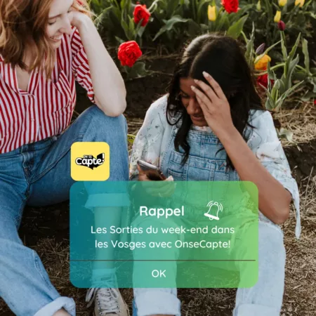 100% Vosges