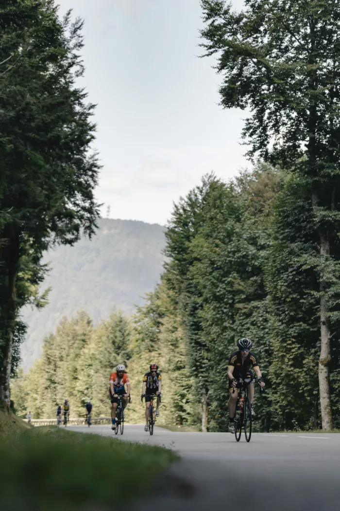 Des cyclistes montant un col vosgien durant un événement Col'Attitude, sans voiture pour les déranger.
