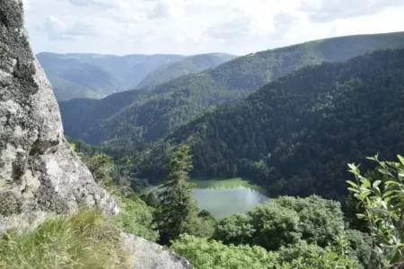 100% Vosges