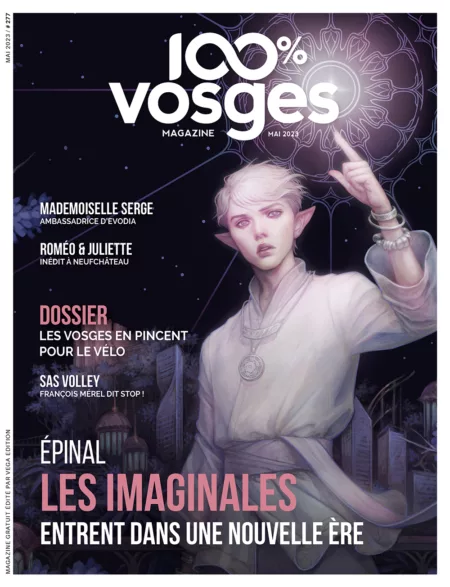 100% Vosges N°277