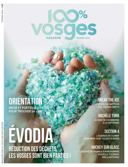 100% Vosges N°285