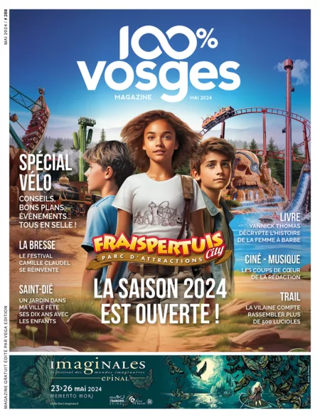 100% Vosges N°288
