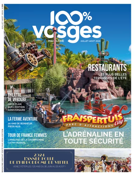 100% Vosges N°290