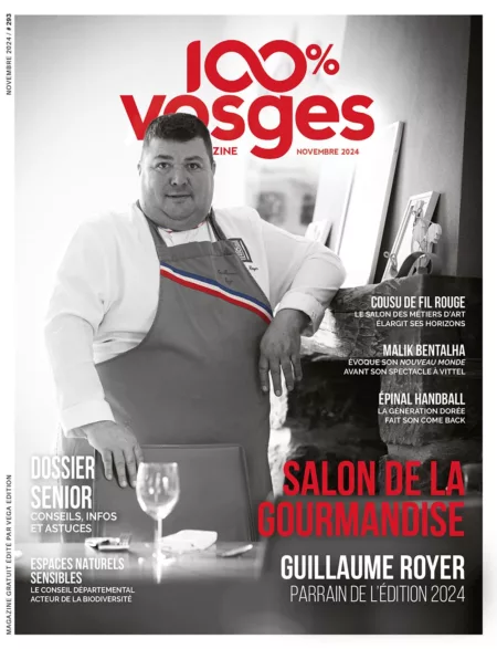 100% Vosges N°293