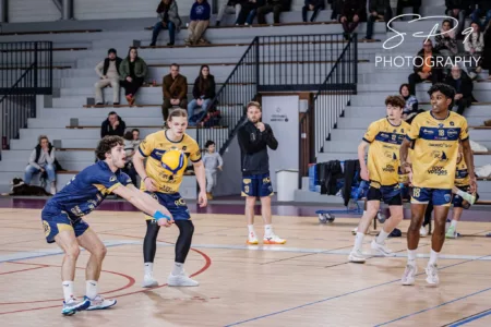 100% Vosges