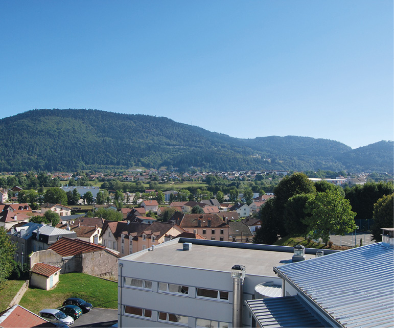 100% Vosges