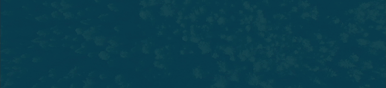 100 Vosges Uncategorized Gif 100 Vosges 793x183 Sept 2026