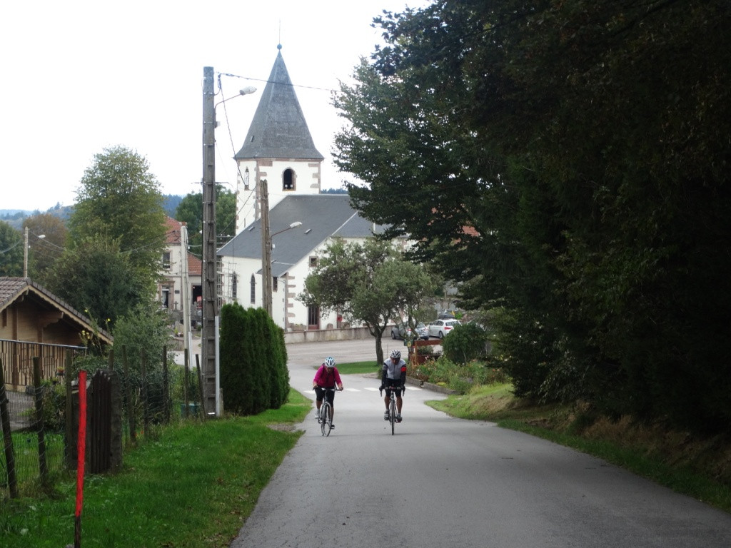 100% Vosges