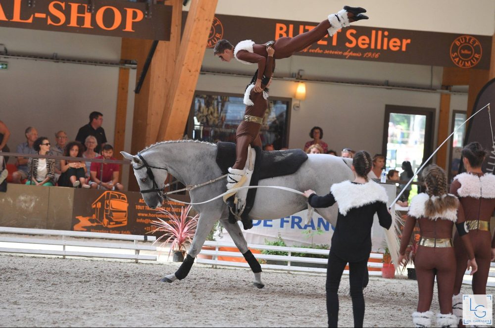 100% Vosges