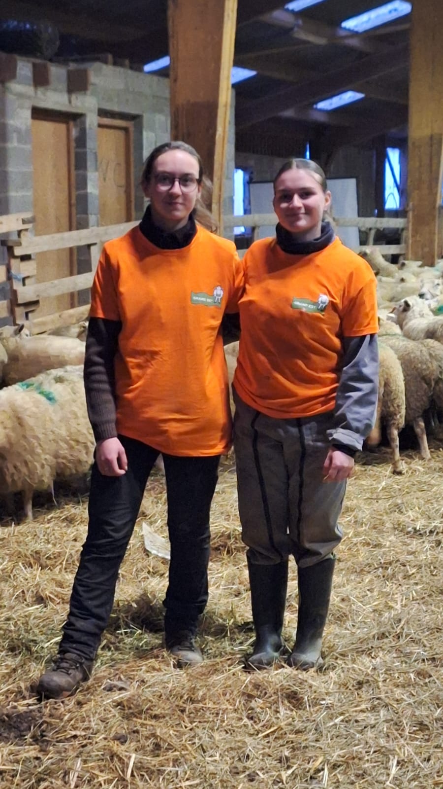 Ils ont fait le buzz au mois de janvier dans les Vosges 4• 100% Vosges 100% Vosges