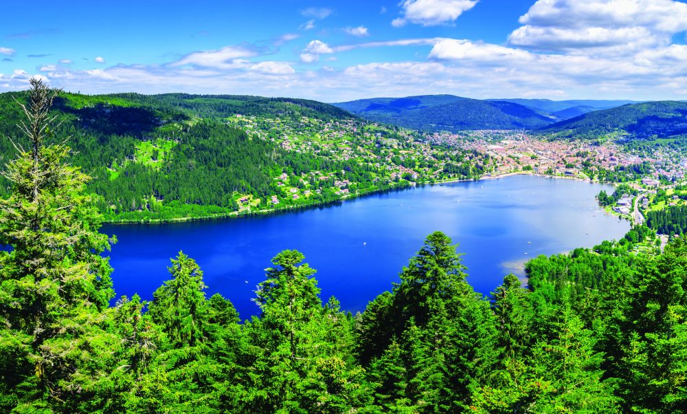 100% Vosges