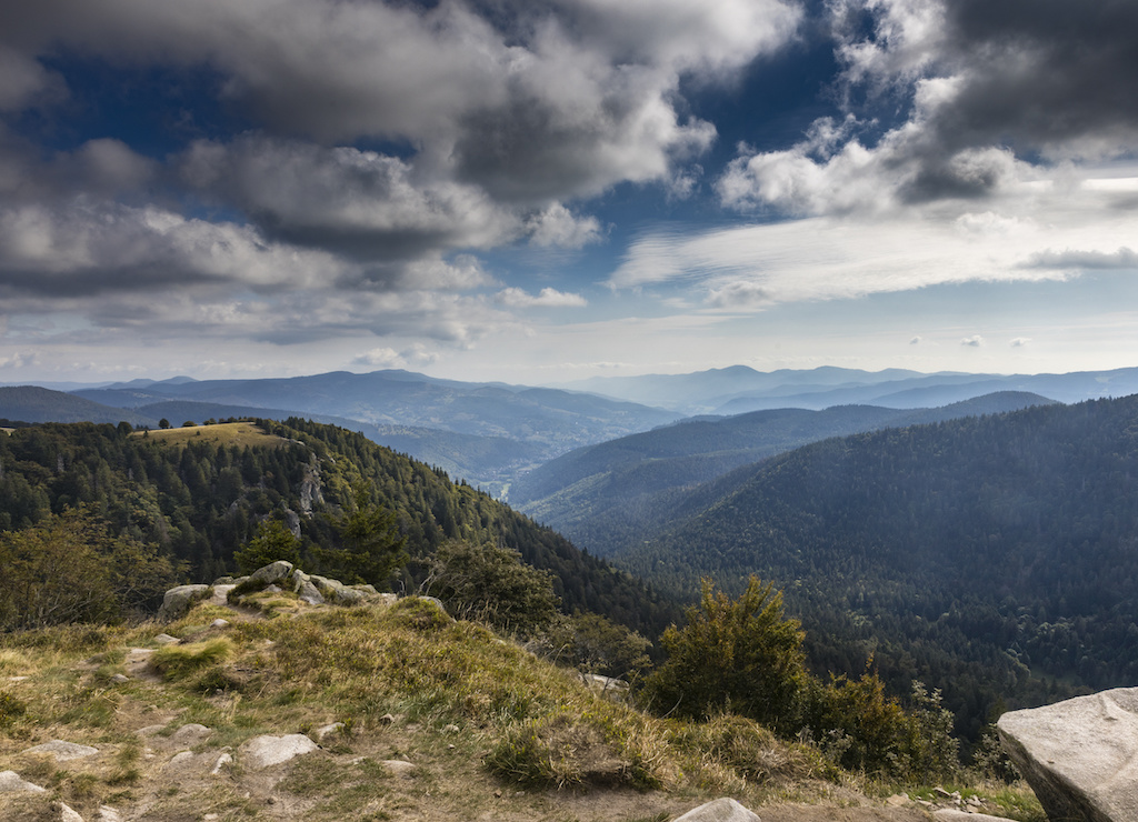 100% Vosges