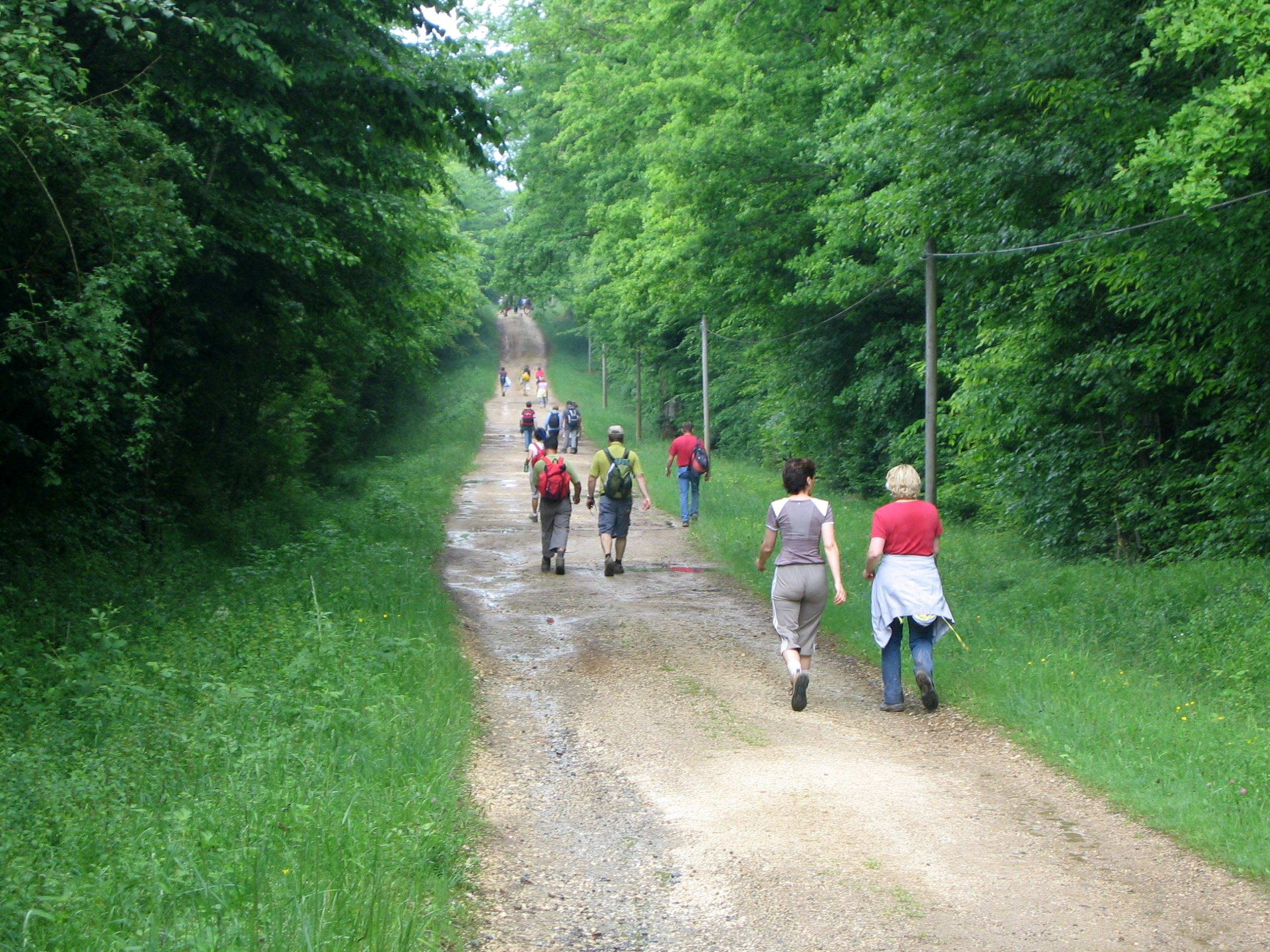 100% Vosges