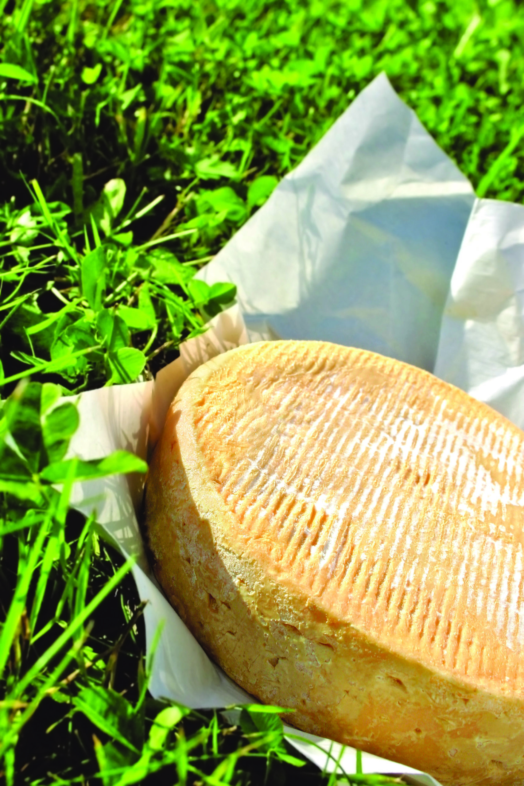 100% Vosges