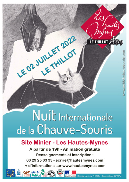26e Nuit internationale de la chauve-souris : découvrez les particularités de ce mammifère volant fascinant au Thillot 2• 100% Vosges 100% Vosges