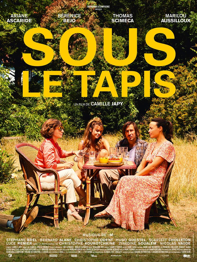 Cinéma : les sorties du 19 juillet à ne pas manquer (bandes annonces) 3• 100% Vosges Affiche du film Sous le tapis.