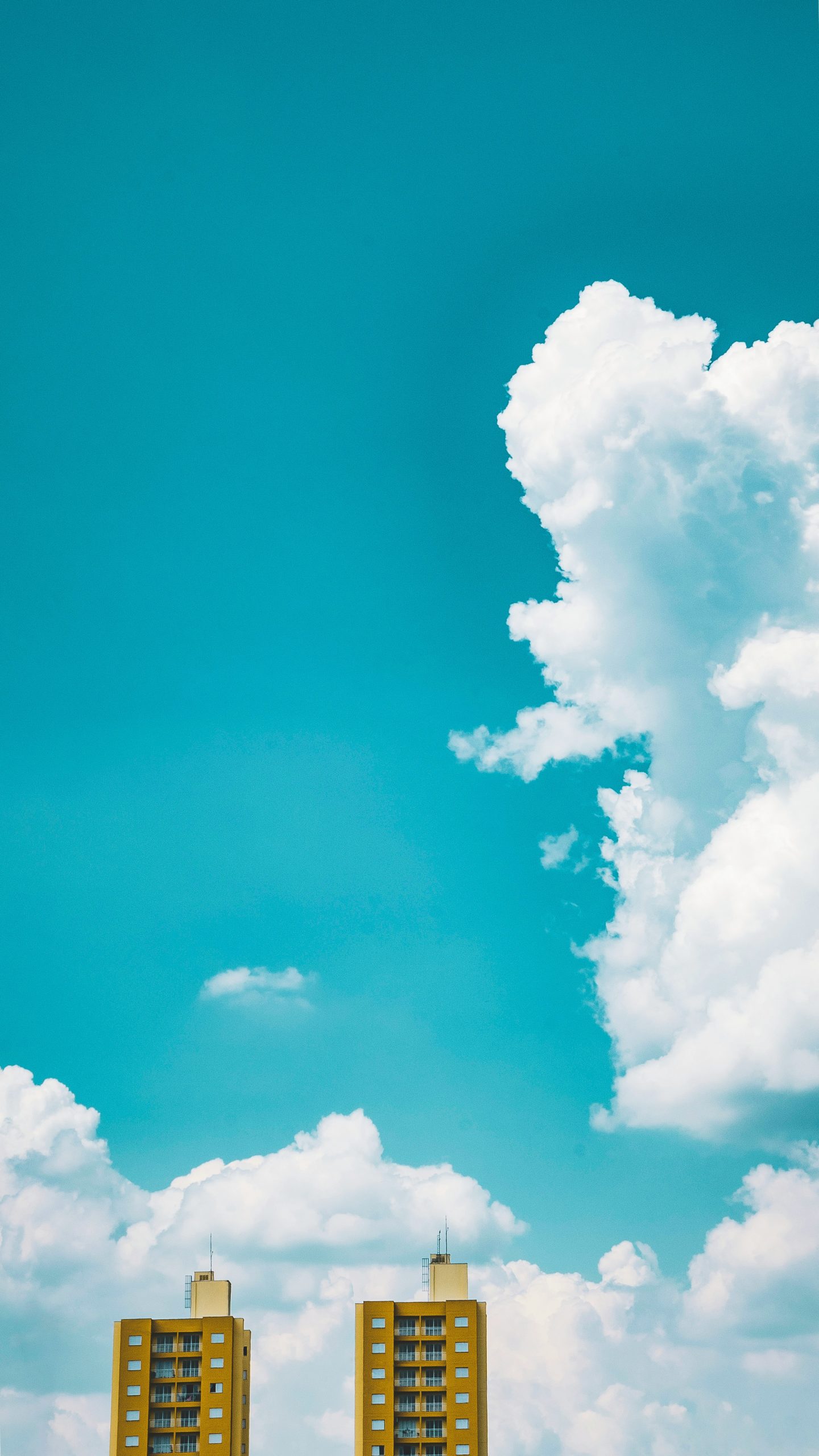 100% Vosges