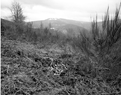 "Béance" : une exposition photographique à Remireront, sur la forêt de Fresse-sur-Moselle 2• 100% Vosges 100% Vosges