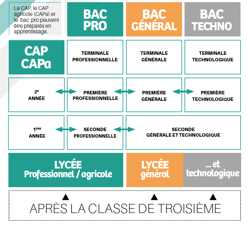 Orientation 2024 : les choix possibles après la classe de 3ᵉ 2• 100% Vosges 100% Vosges