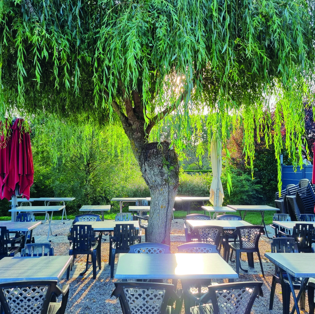 Restaurant LA PLAGE Bouzey : L’esprit du lac continue de souffler 4• 100% Vosges 100% Vosges
