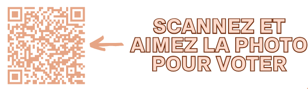 Les Fées Mères, seule entreprise vosgienne en finale du concours du meilleur commerce indépendant de France 3• 100% Vosges 100% Vosges