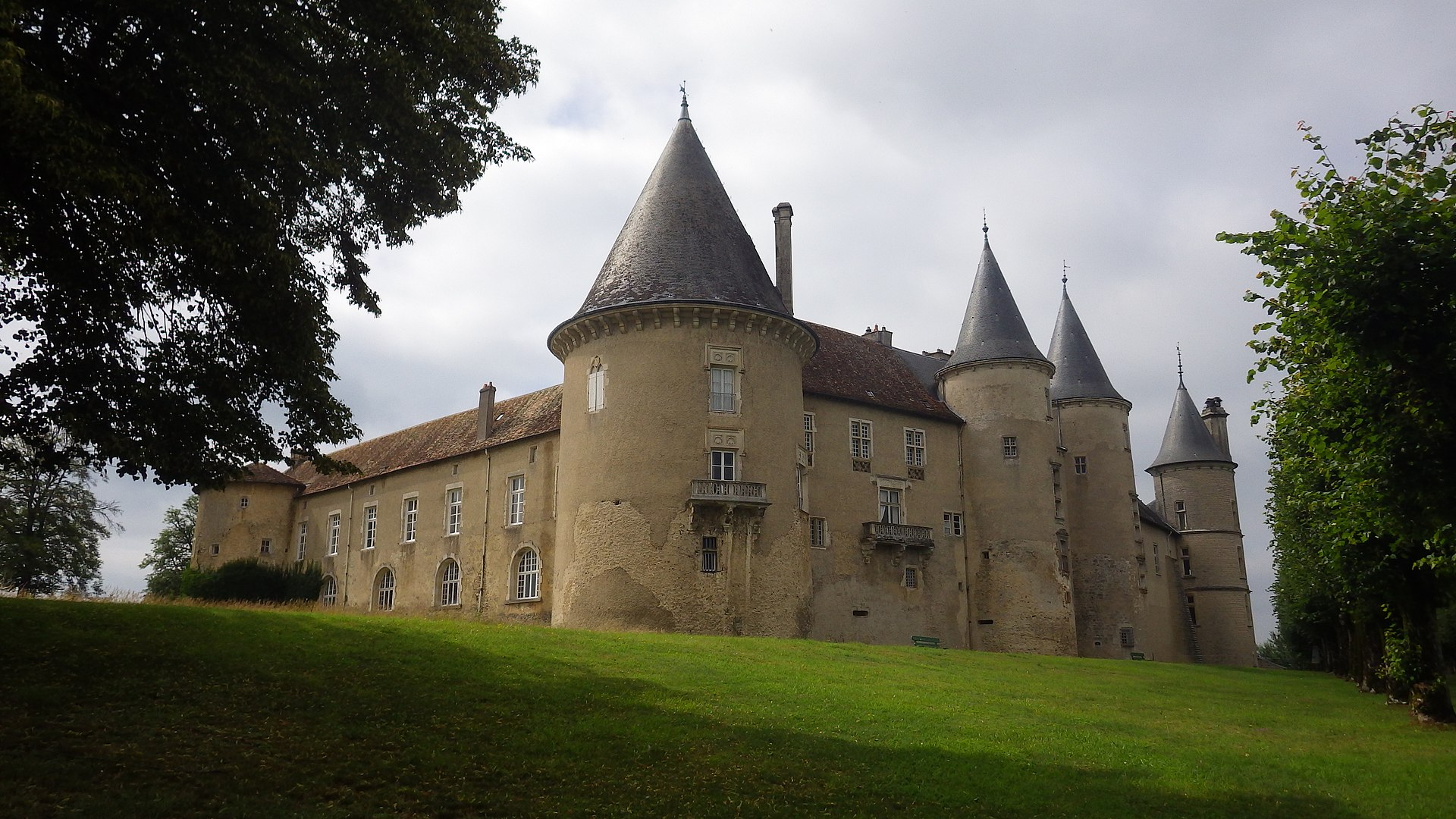 100% Vosges