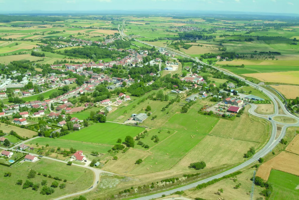 100% Vosges