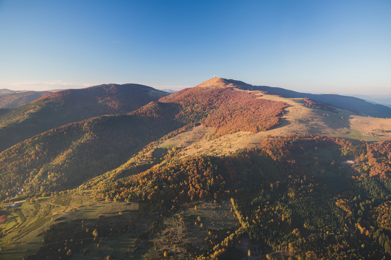 100% Vosges