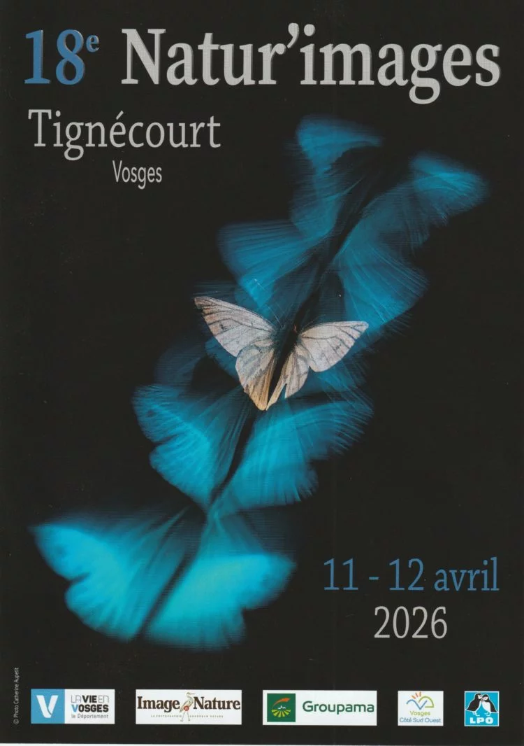Le festival Natur’images de Tignécourt célèbre sa 18e édition dédiée à la nature et à la photographie 2• 100% Vosges 100% Vosges