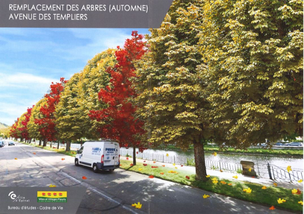 Épinal : De nouveaux marronniers et d'érables plantés avenue des Templiers pour remplacer les arbres malades 2• 100% Vosges 100% Vosges