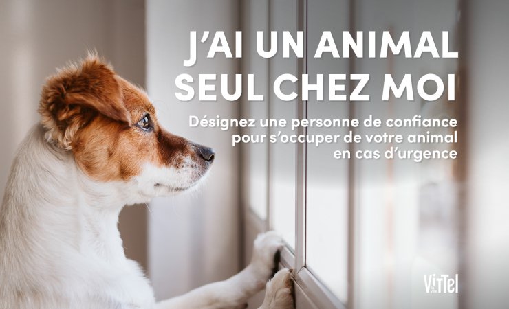 Vittel lance une carte pour protéger les animaux en cas d'urgence 2• 100% Vosges 100% Vosges
