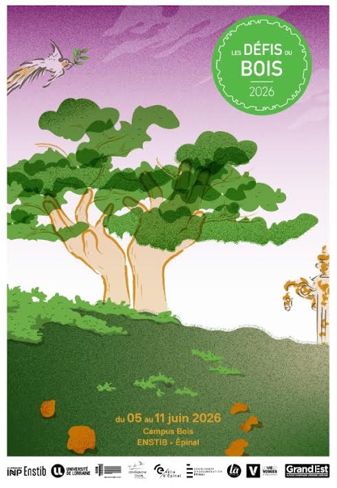 Les Défis du Bois reviennent à Épinal pour une nouvelle édition créative et collaborative 2• 100% Vosges 100% Vosges