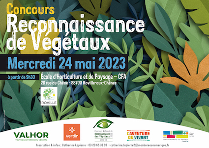 Concours national de Reconnaissance de Végétaux : Des étudiants experts en la matière à Roville-aux-Chênes 2• 100% Vosges 100% Vosges