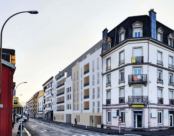 100% Vosges