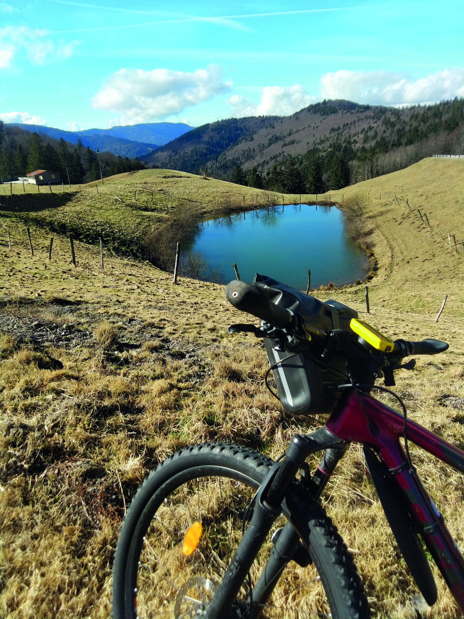 100% Vosges