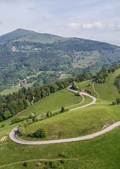 100% Vosges