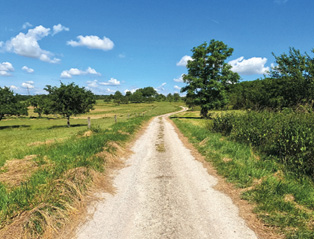 La région de Rambervillers, un territoire authentique et familial 2• 100% Vosges 100% Vosges