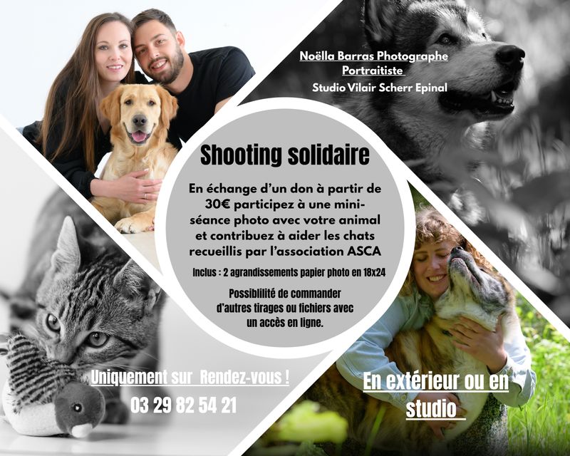 La photographe spinalienne Noëlla Barras organise un shooting solidaire pour les chats errants 2• 100% Vosges 100% Vosges