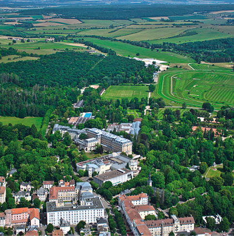 100% Vosges