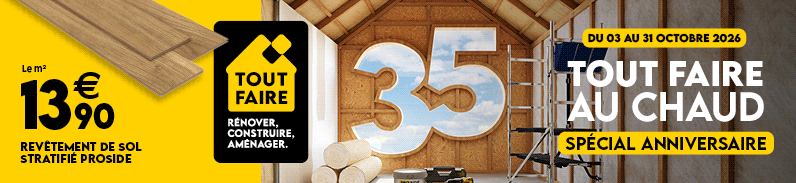 100 Vosges Kiosque Banner SVB